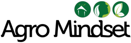 Untitled design – 2023-11-09T072815.397